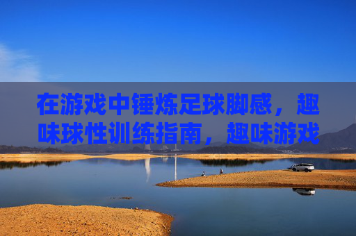 在游戏中锤炼足球脚感,趣味球性训练指南,趣味游戏锤炼足球脚感指南 在游戏中锤炼足球脚感,趣味球性训练指南,趣味游戏锤炼足球脚感指南