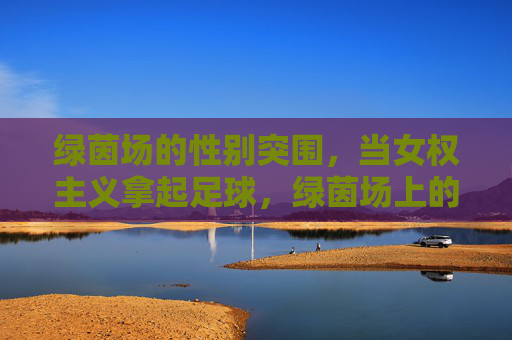 绿茵场的性别突围，当女权主义拿起足球，绿茵场上的性别突围，女权主义拿起足球