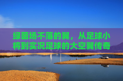 绿茵场不落的翼,从足球小将到实况足球的大空翼传奇,大空翼,绿茵场不落的翼,从足球小将到实况足球的传奇 绿茵场不落的翼,从足球小将到实况足球的大空翼传奇,大空翼,绿茵场不落的翼,从足球小将到实况足球的传奇