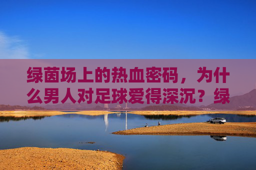 绿茵场上的热血密码,为什么男人对足球爱得深沉?绿茵热血密码,男人的足球深情 绿茵场上的热血密码,为什么男人对足球爱得深沉?绿茵热血密码,男人的足球深情