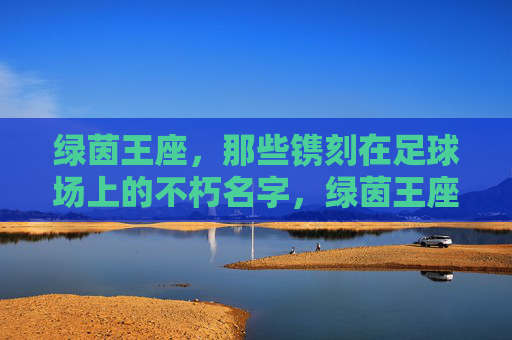 绿茵王座,那些镌刻在足球场上的不朽名字,绿茵王座,镌刻不朽的名字 绿茵王座,那些镌刻在足球场上的不朽名字,绿茵王座,镌刻不朽的名字
