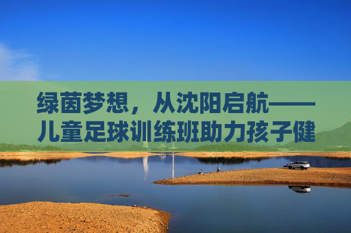 绿茵梦想,从沈阳启航——儿童足球训练班助力孩子健康成长,绿茵梦想启航,儿童足球训练班助力健康成长 绿茵梦想,从沈阳启航——儿童足球训练班助力孩子健康成长,绿茵梦想启航,儿童足球训练班助力健康成长