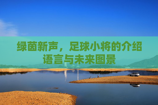 绿茵新声,足球小将的介绍语言与未来图景 绿茵新声,足球小将的介绍语言与未来图景