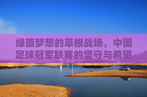 绿茵梦想的草根战场,中国足球冠军联赛的坚守与希望,草根绿茵战场,中国足球冠军联赛的坚守与希望 绿茵梦想的草根战场,中国足球冠军联赛的坚守与希望,草根绿茵战场,中国足球冠军联赛的坚守与希望