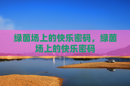 绿茵场上的快乐密码，绿茵场上的快乐密码