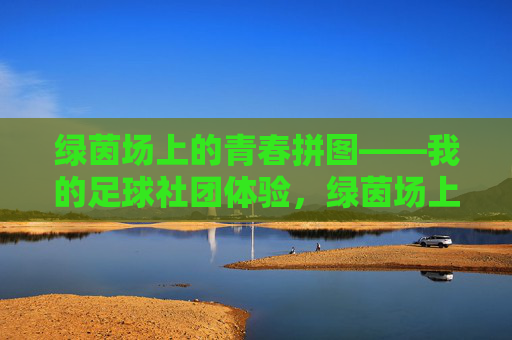 绿茵场上的青春拼图——我的足球社团体验，绿茵场上的青春拼图，足球社团体验