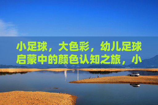 小足球，大色彩，幼儿足球启蒙中的颜色认知之旅，小足球，大色彩，幼儿启蒙的颜色认知之旅