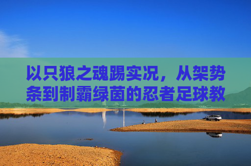 以只狼之魂踢实况,从架势条到制霸绿茵的忍者足球教程 以只狼之魂踢实况,从架势条到制霸绿茵的忍者足球教程
