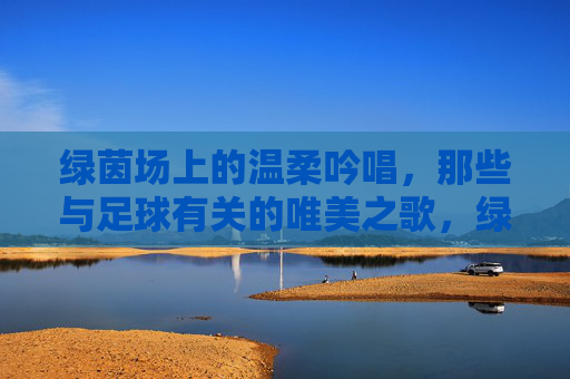 绿茵场上的温柔吟唱，那些与足球有关的唯美之歌，绿茵场的温柔吟唱，足球唯美之歌