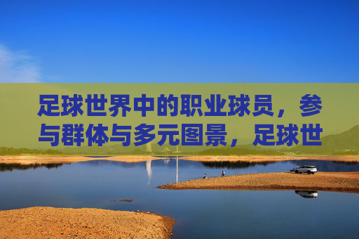 足球世界中的职业球员,参与群体与多元图景,足球世界职业球员,群体与多元图景 足球世界中的职业球员,参与群体与多元图景,足球世界职业球员,群体与多元图景