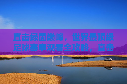 直击绿茵巅峰，世界最顶级足球赛事观看全攻略，直击绿茵巅峰，世界顶级足球赛事观看全攻略
