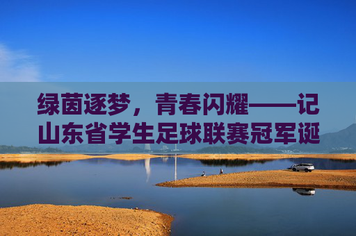 绿茵逐梦，青春闪耀——记山东省学生足球联赛冠军诞生记，绿茵逐梦，青春闪耀——山东省学生足球联赛冠军诞生