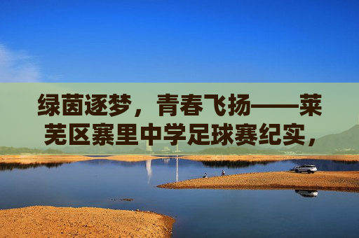 绿茵逐梦，青春飞扬——莱芜区寨里中学足球赛纪实，绿茵逐梦，青春飞扬——莱芜区寨里中学足球赛纪实