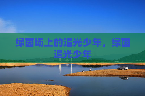 绿茵场上的追光少年,绿茵追光少年 绿茵场上的追光少年,绿茵追光少年