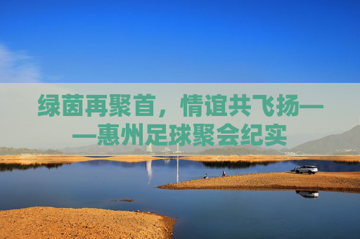 绿茵再聚首，情谊共飞扬——惠州足球聚会纪实