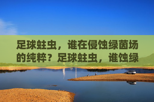 足球蛀虫,谁在侵蚀绿茵场的纯粹?足球蛀虫,谁蚀绿茵纯粹? 足球蛀虫,谁在侵蚀绿茵场的纯粹?足球蛀虫,谁蚀绿茵纯粹?