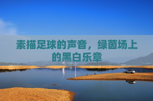 素描足球的声音,绿茵场上的黑白乐章 素描足球的声音,绿茵场上的黑白乐章