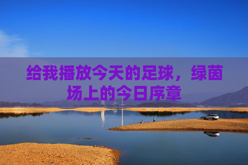 给我播放今天的足球,绿茵场上的今日序章 给我播放今天的足球,绿茵场上的今日序章