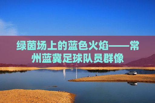 绿茵场上的蓝色火焰——常州蓝冀足球队员群像