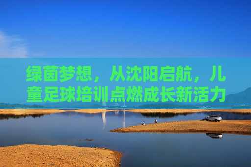 绿茵梦想，从沈阳启航，儿童足球培训点燃成长新活力，绿茵梦想从沈阳启航，儿童足球点燃成长新活力