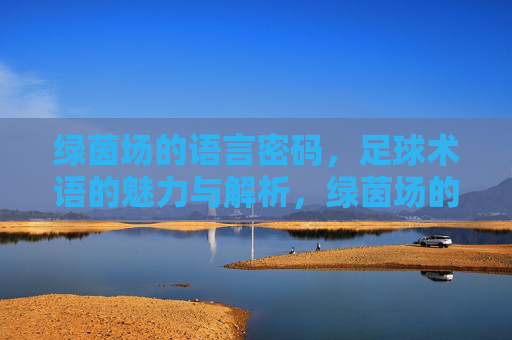 绿茵场的语言密码，足球术语的魅力与解析，绿茵场的语言密码，足球术语的魅力解析
