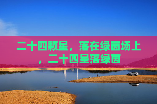 二十四颗星,落在绿茵场上,二十四星落绿茵 二十四颗星,落在绿茵场上,二十四星落绿茵