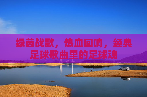 绿茵战歌，热血回响，经典足球歌曲里的足球魂