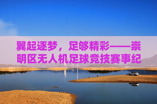 翼起逐梦,足够精彩——崇明区无人机足球竞技赛事纪实 翼起逐梦,足够精彩——崇明区无人机足球竞技赛事纪实