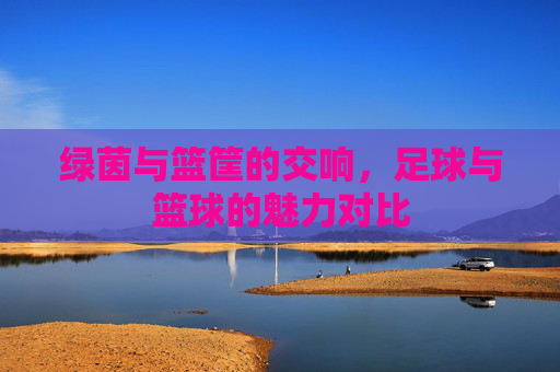 绿茵与篮筐的交响,足球与篮球的魅力对比 绿茵与篮筐的交响,足球与篮球的魅力对比