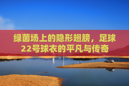 绿茵场上的隐形翅膀,足球22号球衣的平凡与传奇 绿茵场上的隐形翅膀,足球22号球衣的平凡与传奇