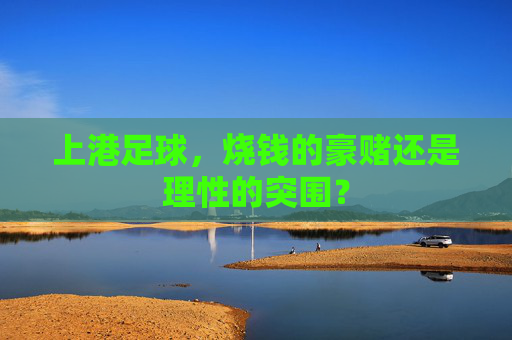 上港足球，烧钱的豪赌还是理性的突围？