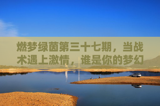 燃梦绿茵第三十七期，当战术遇上激情，谁是你的梦幻MVP？