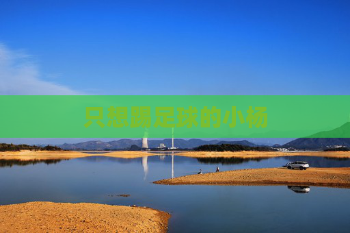 只想踢足球的小杨 只想踢足球的小杨