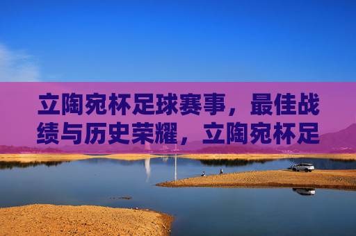 立陶宛杯足球赛事，最佳战绩与历史荣耀，立陶宛杯足球赛事，最佳战绩与历史荣耀