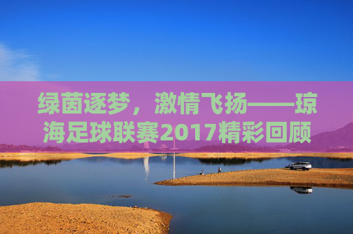 绿茵逐梦，激情飞扬——琼海足球联赛2017精彩回顾，绿茵逐梦，激情飞扬——2017琼海足球联赛回顾