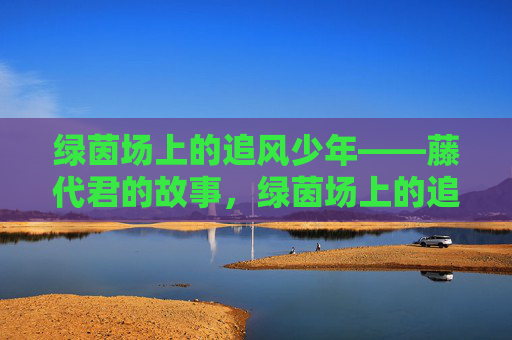 绿茵场上的追风少年——藤代君的故事,绿茵场上的追风少年——藤代君的故事 绿茵场上的追风少年——藤代君的故事,绿茵场上的追风少年——藤代君的故事