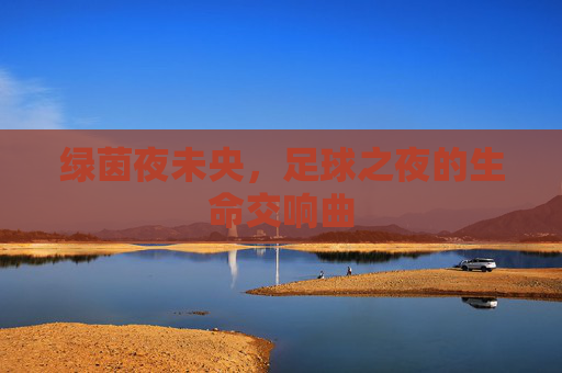 绿茵夜未央,足球之夜的生命交响曲 绿茵夜未央,足球之夜的生命交响曲