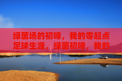 绿茵场的初啼,我的零起点足球生涯,绿茵初啼,我的零起点足球生涯 绿茵场的初啼,我的零起点足球生涯,绿茵初啼,我的零起点足球生涯