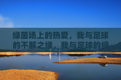 绿茵场上的热爱，我与足球的不解之缘，我与足球的绿茵情缘