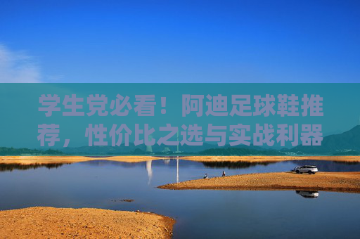 学生党必看!阿迪足球鞋推荐,性价比之选与实战利器,学生党阿迪足球鞋推荐,性价比实战之选 学生党必看!阿迪足球鞋推荐,性价比之选与实战利器,学生党阿迪足球鞋推荐,性价比实战之选