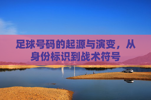 足球号码的起源与演变,从身份标识到战术符号 足球号码的起源与演变,从身份标识到战术符号