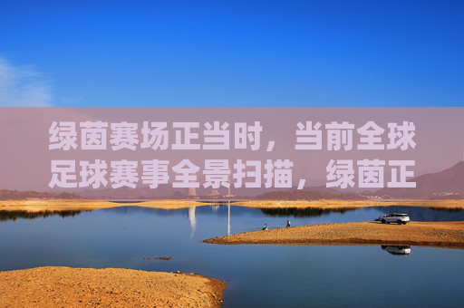 绿茵赛场正当时,当前全球足球赛事全景扫描,绿茵正当时,全球足球赛事全景扫描 绿茵赛场正当时,当前全球足球赛事全景扫描,绿茵正当时,全球足球赛事全景扫描