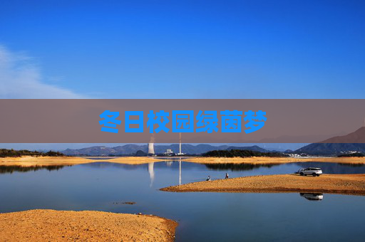冬日校园绿茵梦