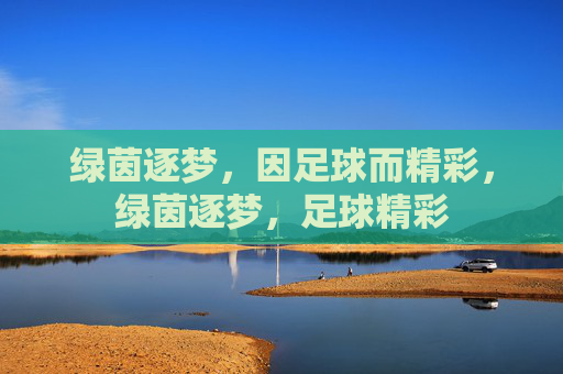绿茵逐梦，因足球而精彩，绿茵逐梦，足球精彩