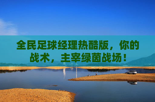 全民足球经理热酷版，你的战术，主宰绿茵战场！