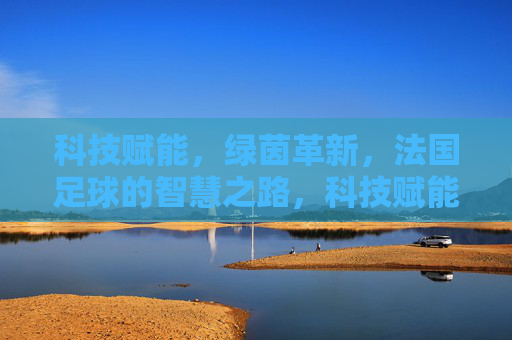 科技赋能，绿茵革新，法国足球的智慧之路，科技赋能绿茵革新，法国足球的智慧之路