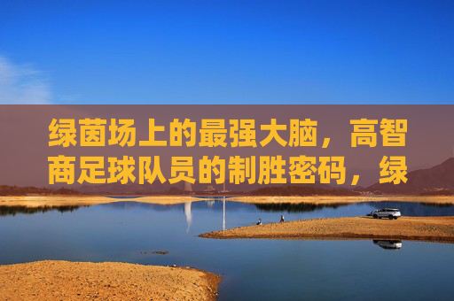 绿茵场上的最强大脑，高智商足球队员的制胜密码，绿茵场上的最强大脑，高智商球员的制胜密码