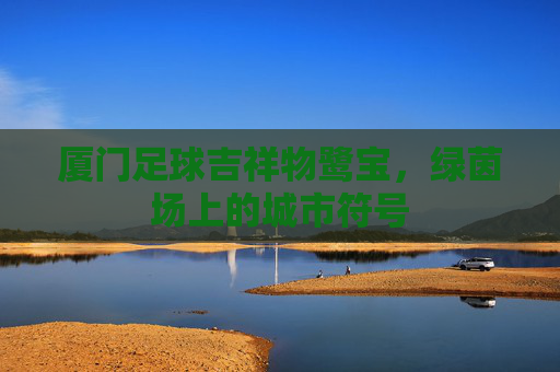 厦门足球吉祥物鹭宝，绿茵场上的城市符号