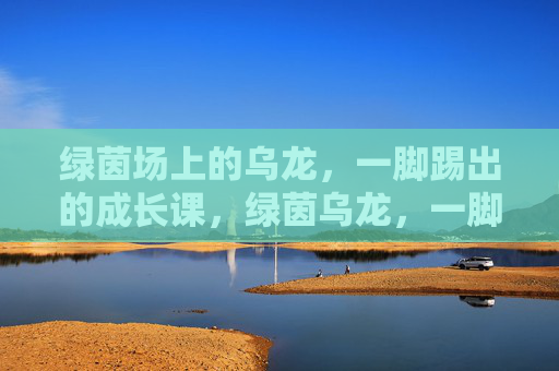 绿茵场上的乌龙,一脚踢出的成长课,绿茵乌龙,一脚踢出的成长课 绿茵场上的乌龙,一脚踢出的成长课,绿茵乌龙,一脚踢出的成长课