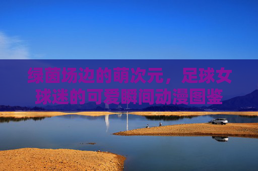 绿茵场边的萌次元，足球女球迷的可爱瞬间动漫图鉴
